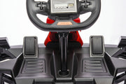 24volts brushless go-kart with 2 pedals