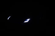 Maserati_MC20_Gt2_ride_on_car_24v_24volts_kids_car_toy_car_baby_car_sonicteck_toy_cars_canada_kids_brushless_24v_car_ride_on_car_Kids_jeep_power_wheels_kids_fast_car_ride_24volts_car_electric-powered_kids_car_ride_on